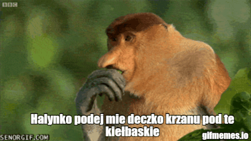 Dzieło sztuki #10814