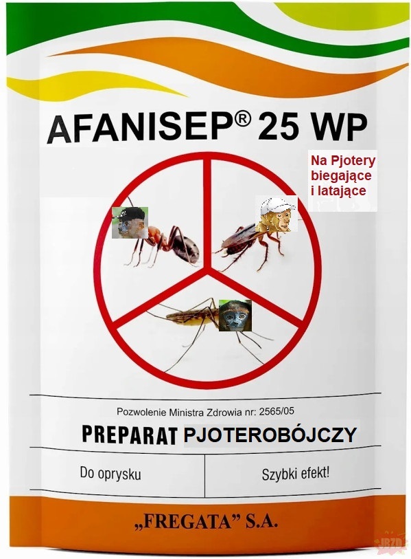 Dzieło sztuki #10815