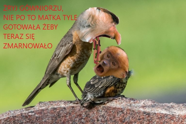 Dzieło sztuki #10849