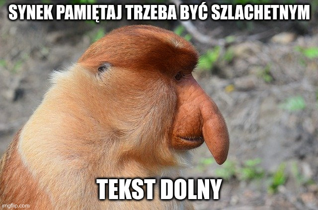 Dzieło sztuki #10852