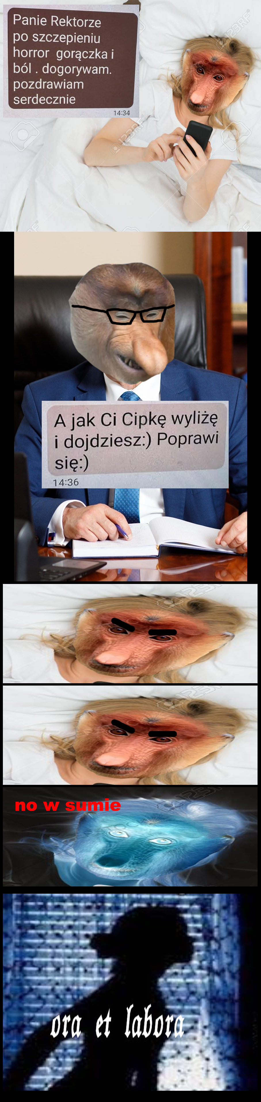 Dzieło sztuki #10876