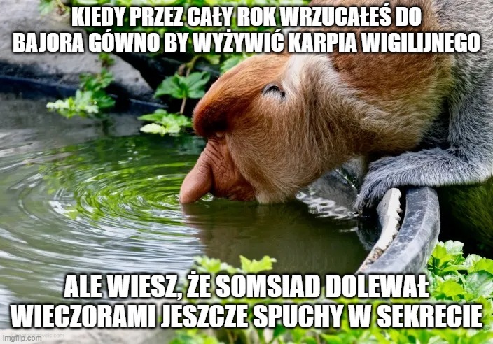 Dzieło sztuki #10885