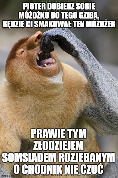 Dzieło sztuki #10887