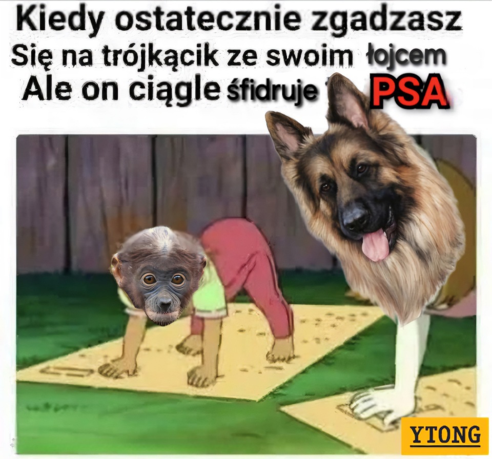 Dzieło sztuki #10892