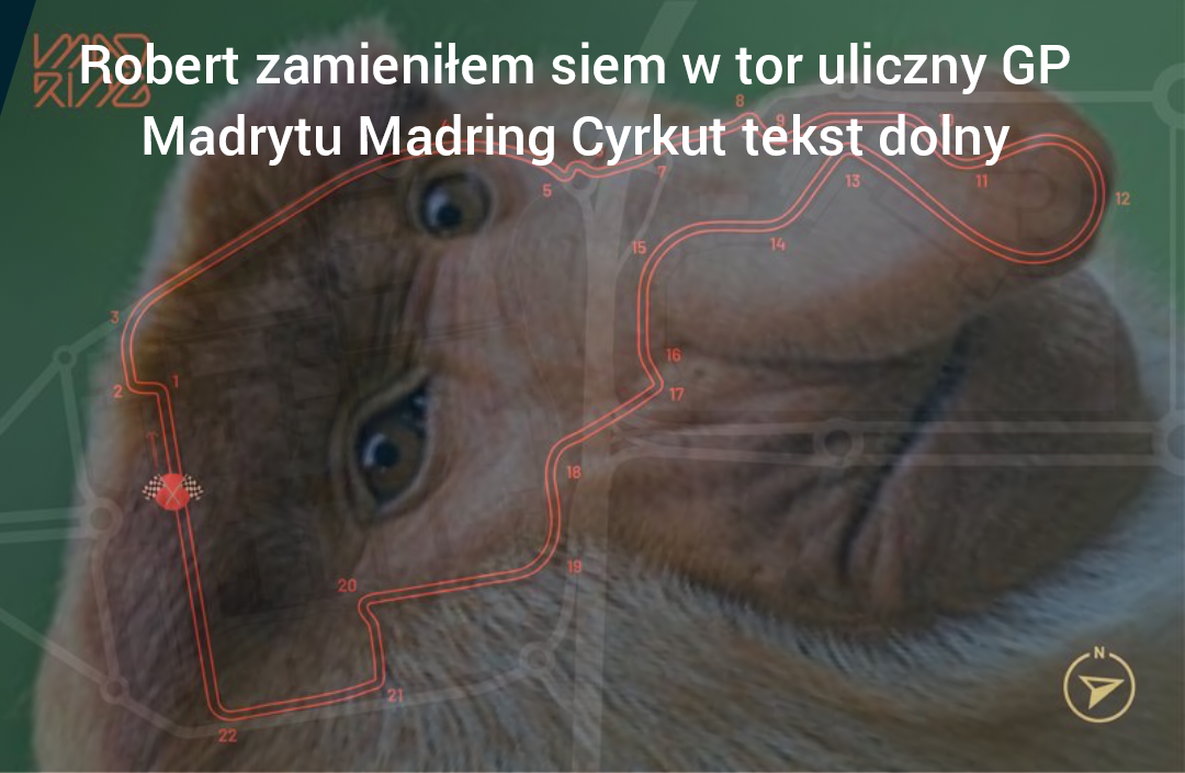 Dzieło sztuki #10894