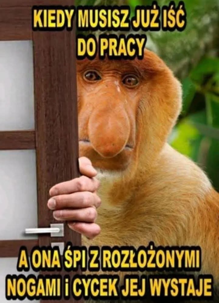 Dzieło sztuki #10899