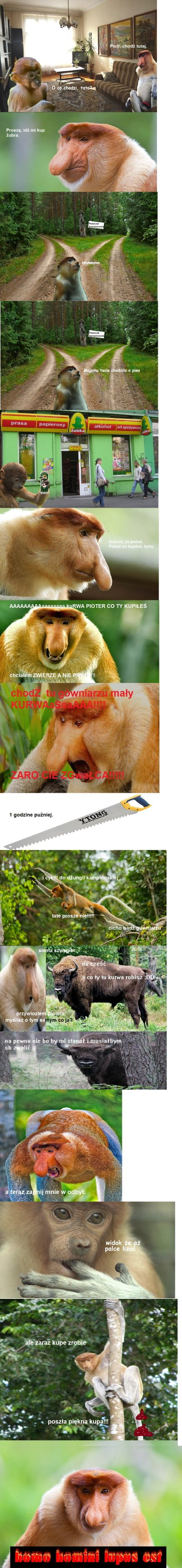 Dzieło sztuki #10908
