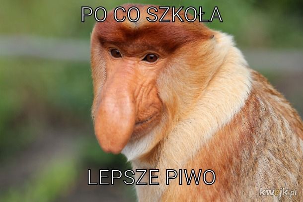 Dzieło sztuki #10910