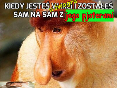 Dzieło sztuki #10911