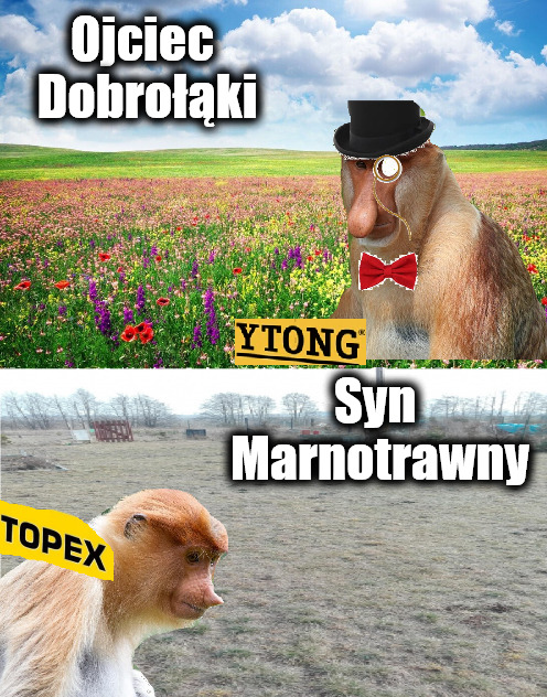 Dzieło sztuki #10918