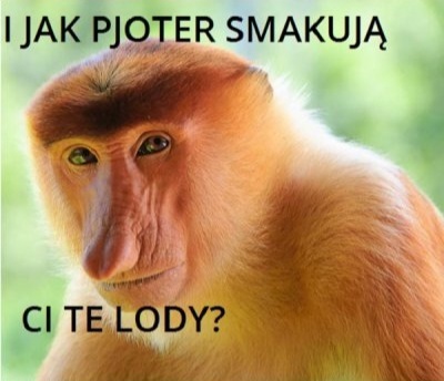 Dzieło sztuki #10991