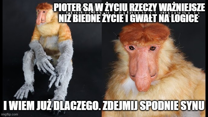 Dzieło sztuki #11016