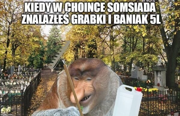 Dzieło sztuki #11017