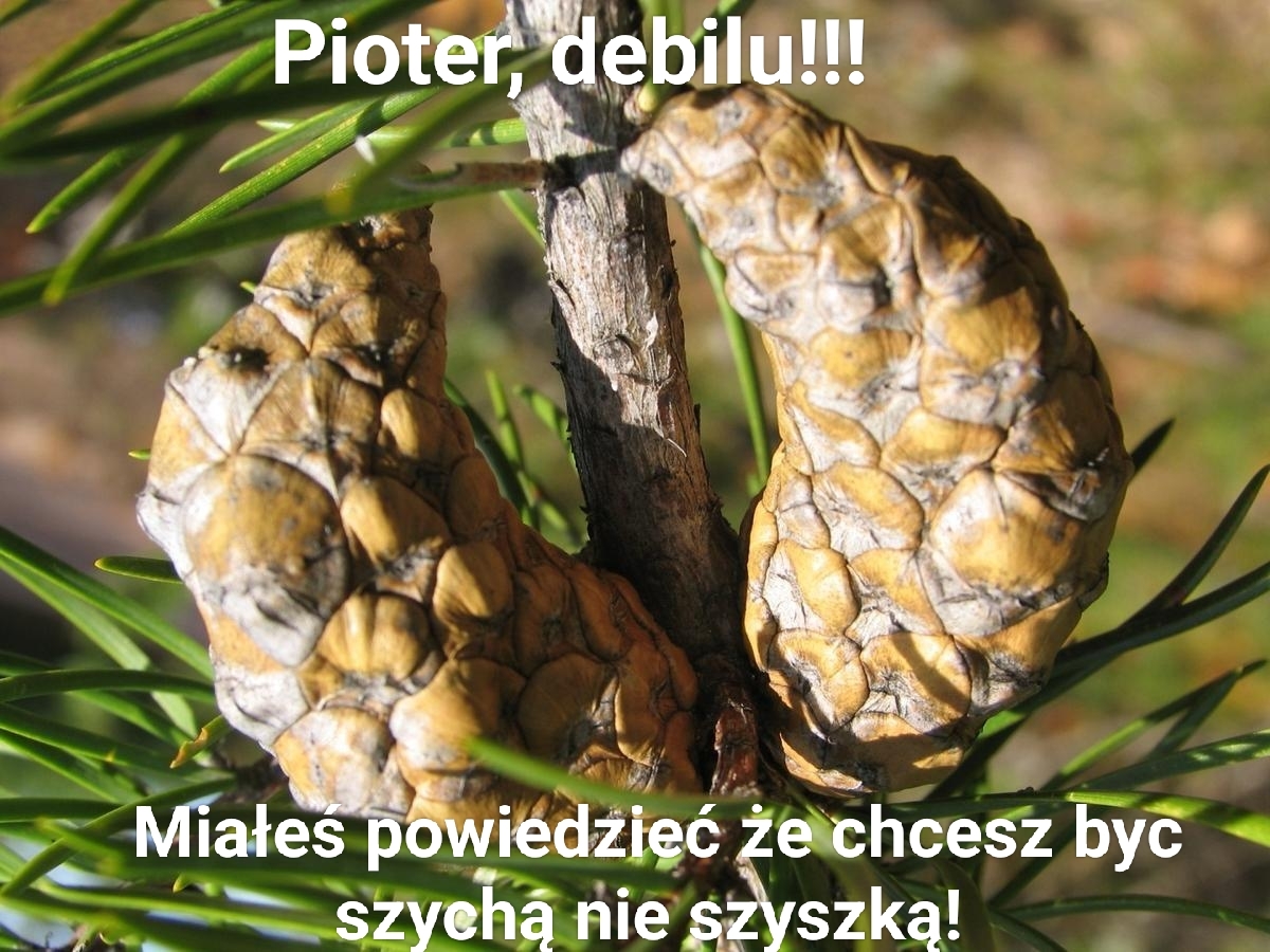 Dzieło sztuki #11032