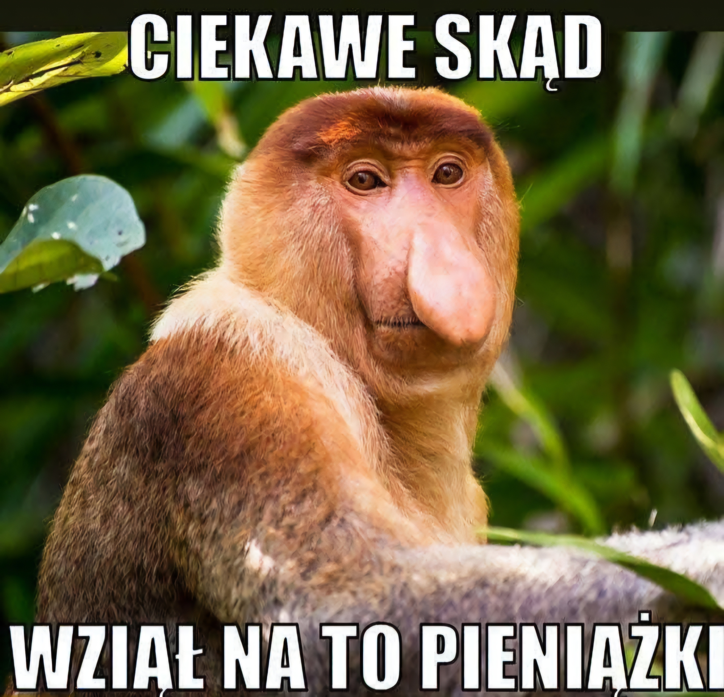 Dzieło sztuki #11056