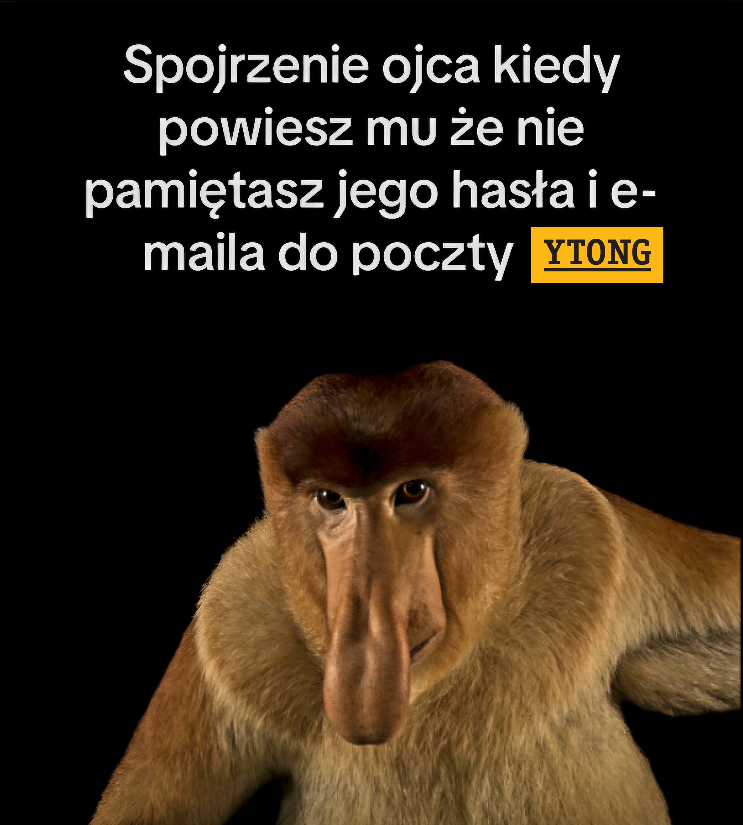 Dzieło sztuki #11059
