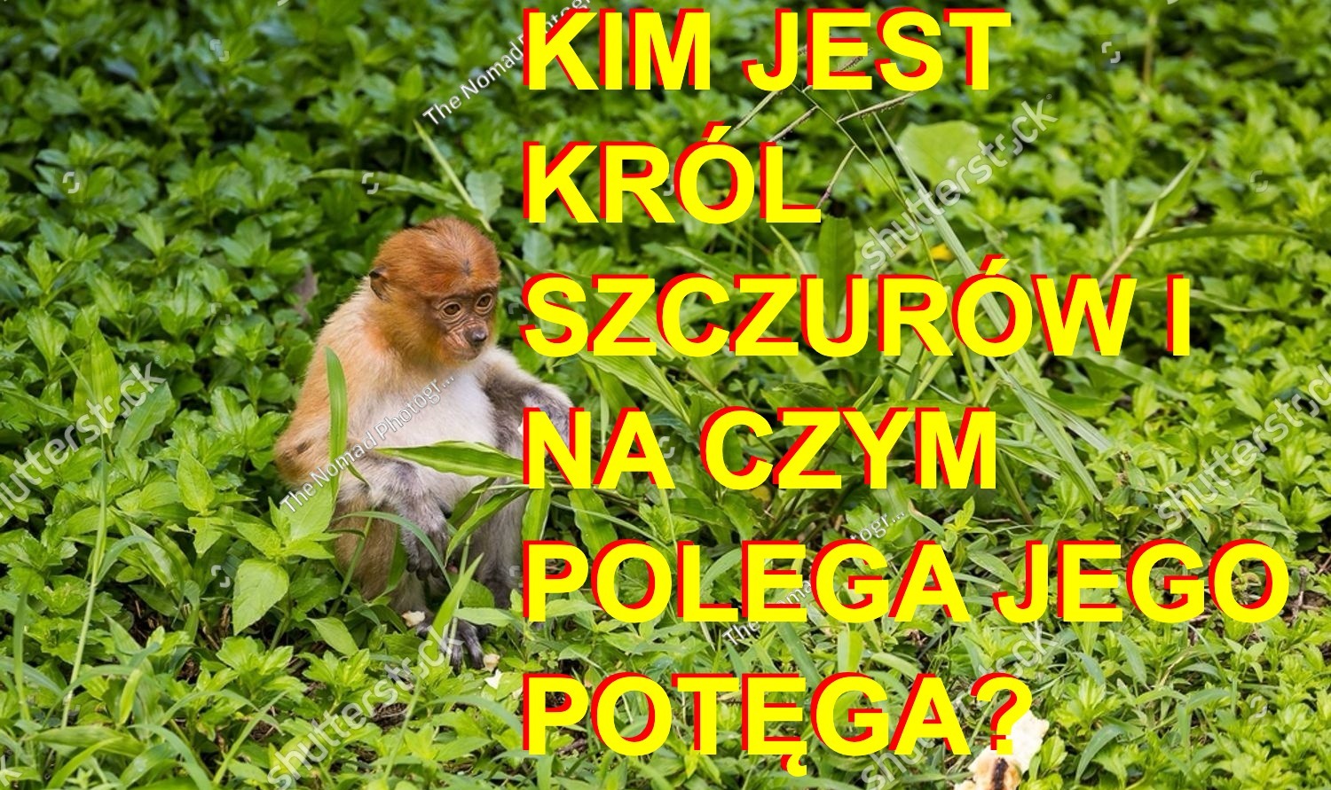 Dzieło sztuki #11063