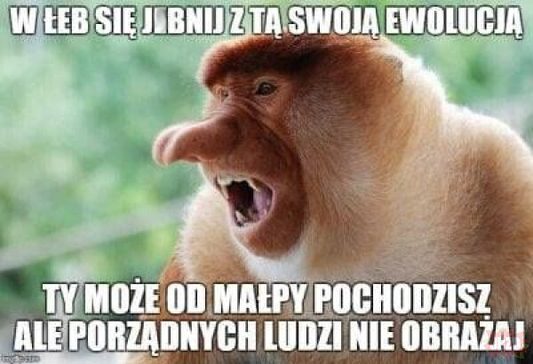 Dzieło sztuki #11065