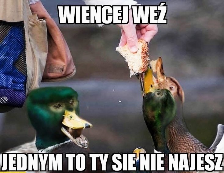 Dzieło sztuki #11066