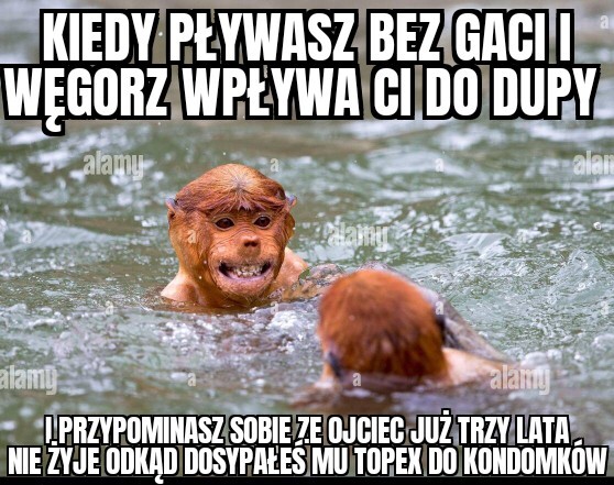 Dzieło sztuki #11071