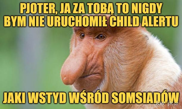 Dzieło sztuki #11074