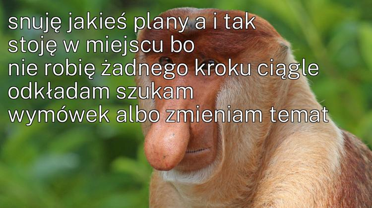 Dzieło sztuki #11077