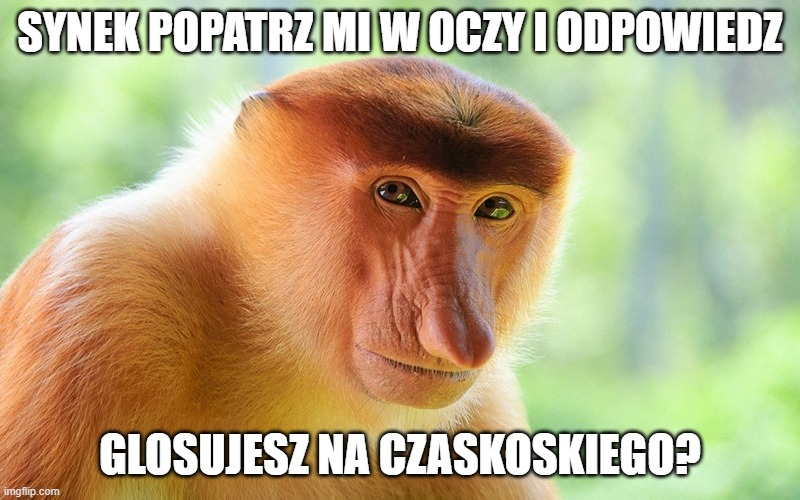 Dzieło sztuki #11080