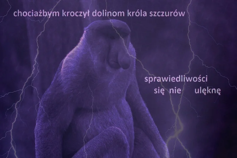Dzieło sztuki #11088