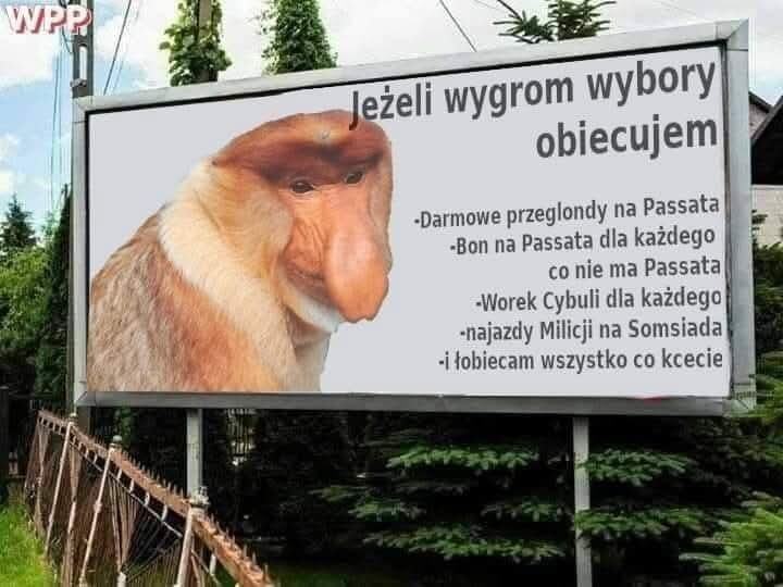 Dzieło sztuki #11103
