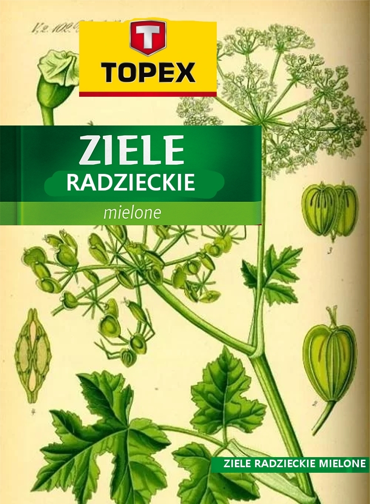 Dzieło sztuki #11104