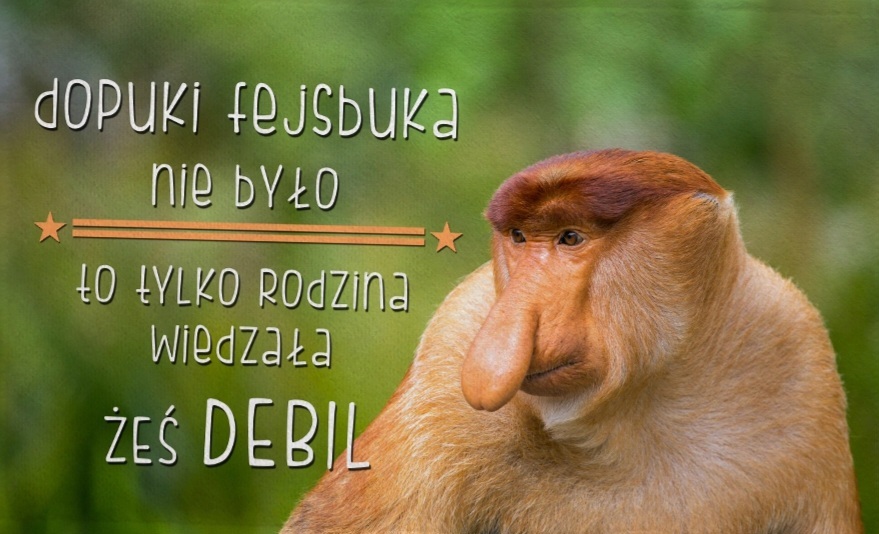 Dzieło sztuki #11105