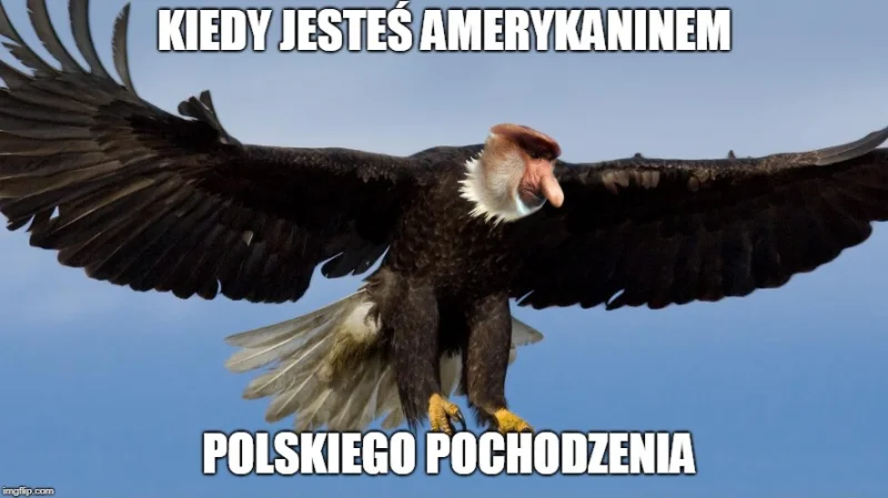 Dzieło sztuki #11114