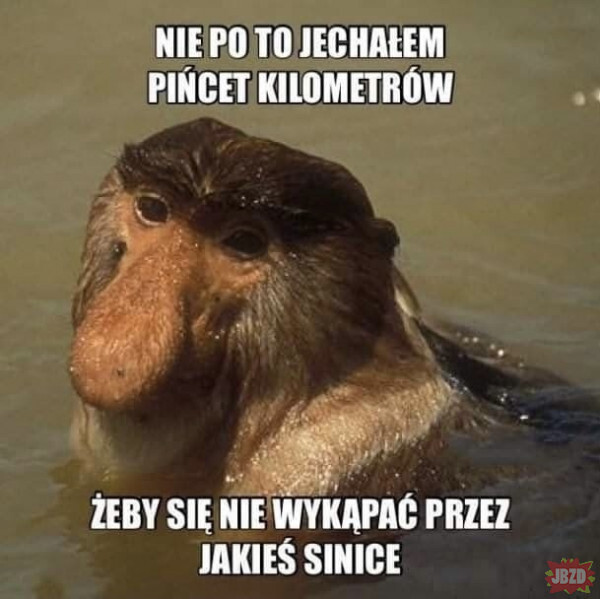 Dzieło sztuki #11121