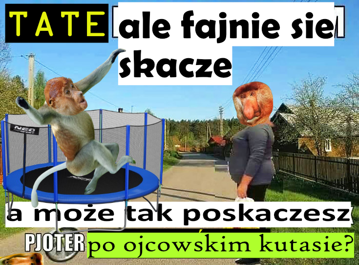 Dzieło sztuki #11123