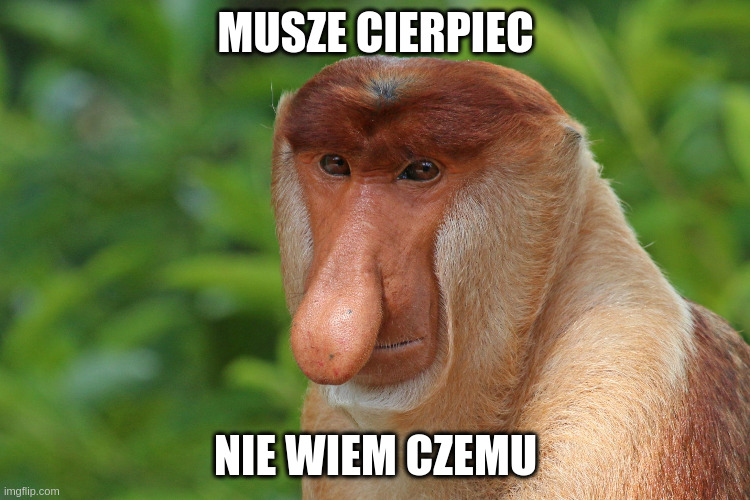Dzieło sztuki #11126