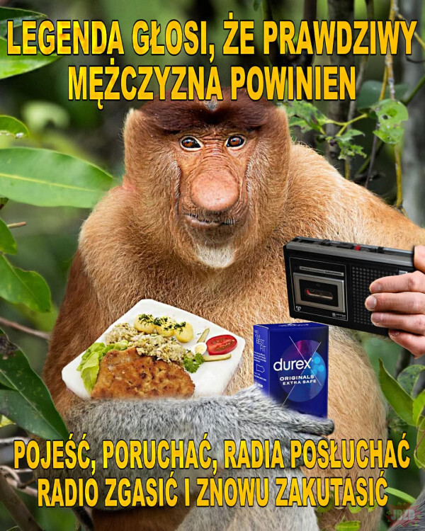 Dzieło sztuki #11131