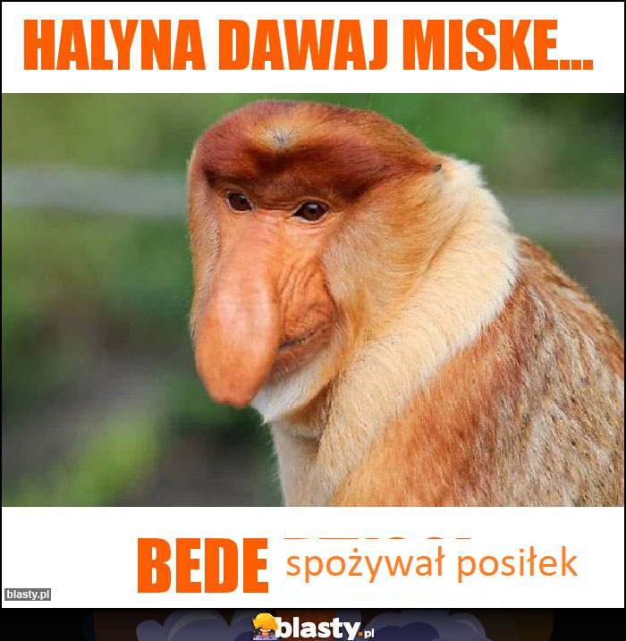 Dzieło sztuki #11145