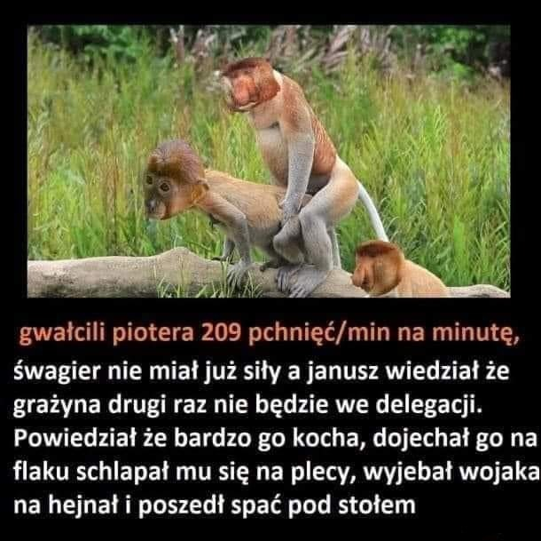 Dzieło sztuki #11159