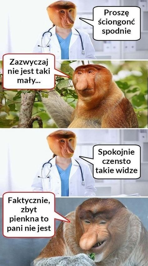Dzieło sztuki #11160