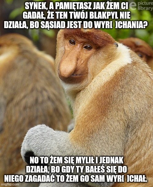 Dzieło sztuki #11163