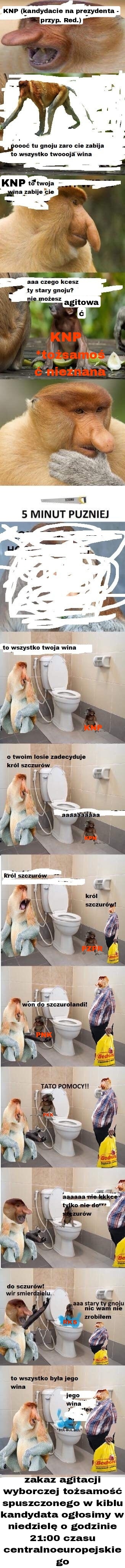 Dzieło sztuki #11181