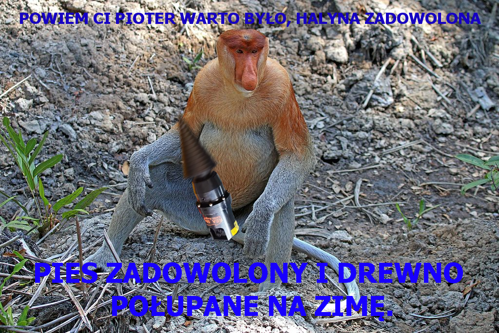 Dzieło sztuki #11185