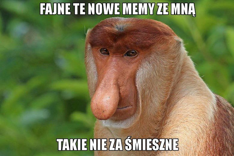 Dzieło sztuki #11191