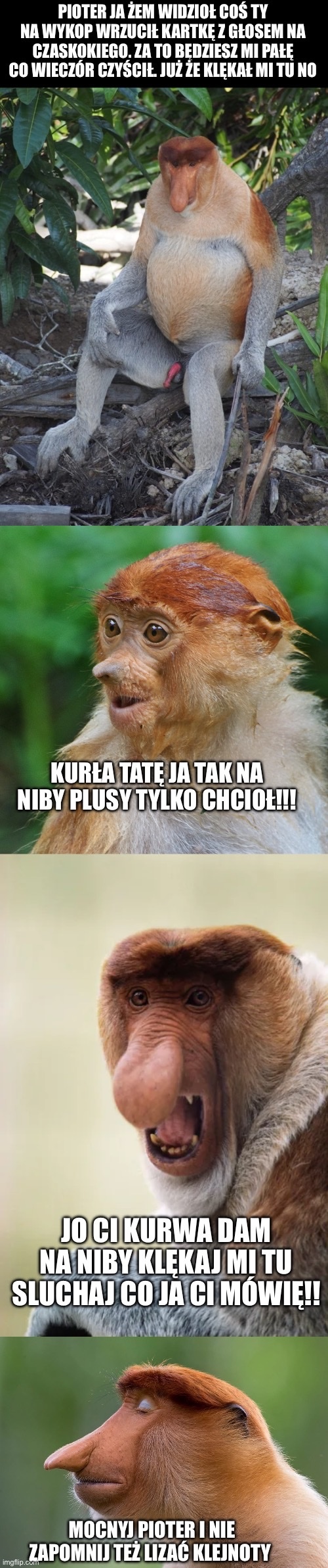 Dzieło sztuki #11195