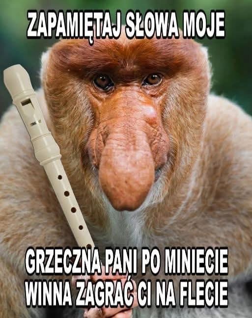 Dzieło sztuki #11231