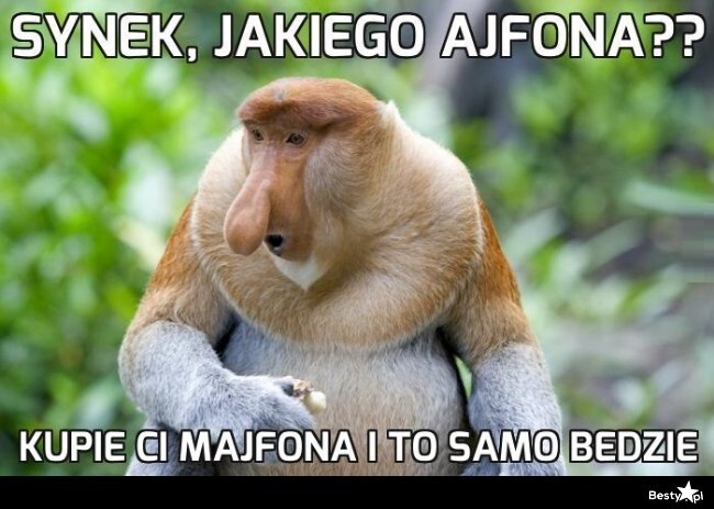 Dzieło sztuki #11241