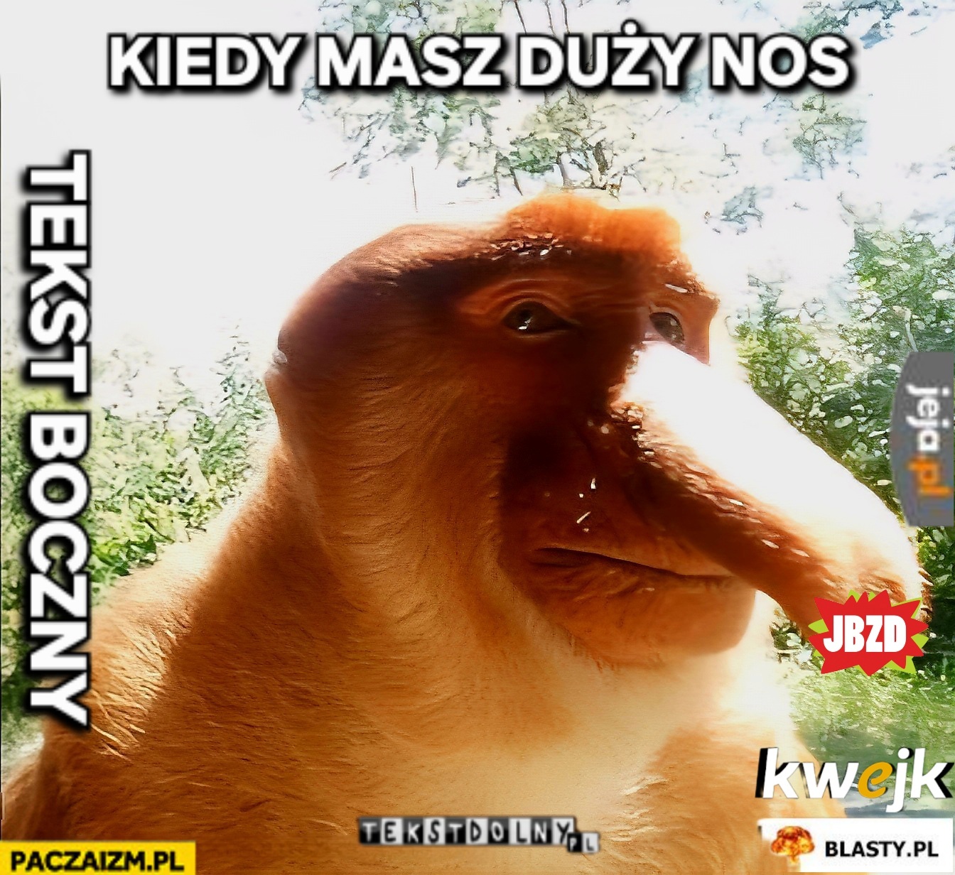 Dzieło sztuki #11260