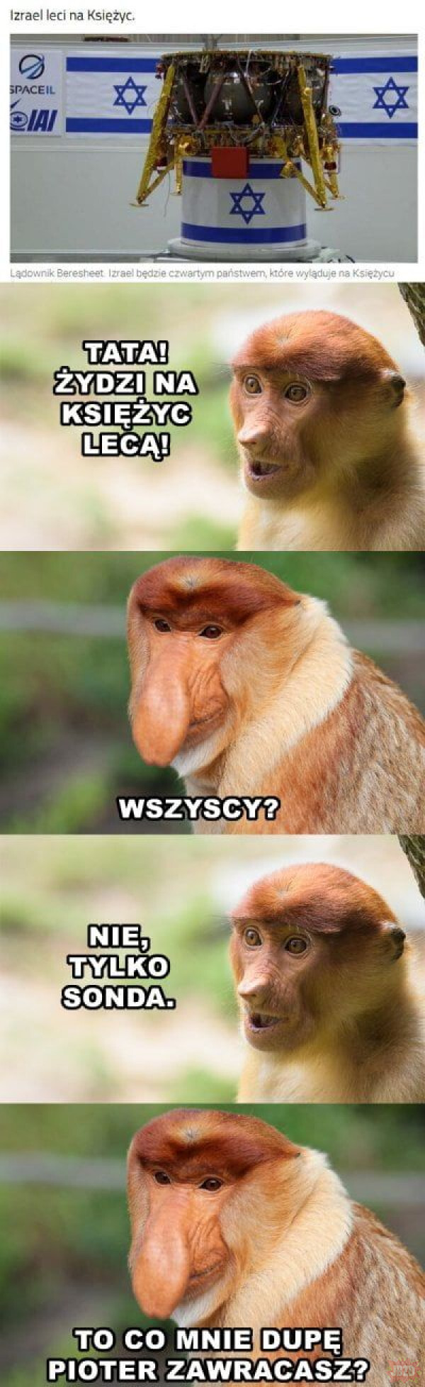 Dzieło sztuki #11291