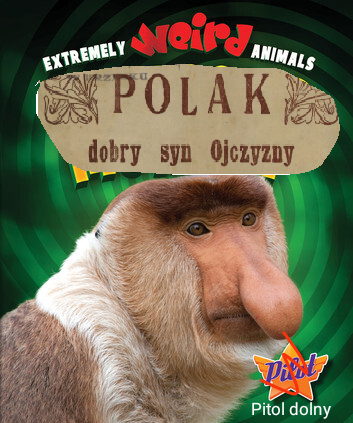 Dzieło sztuki #11300