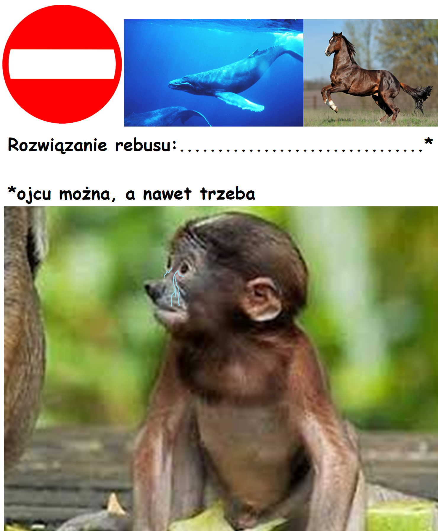 Dzieło sztuki #11315